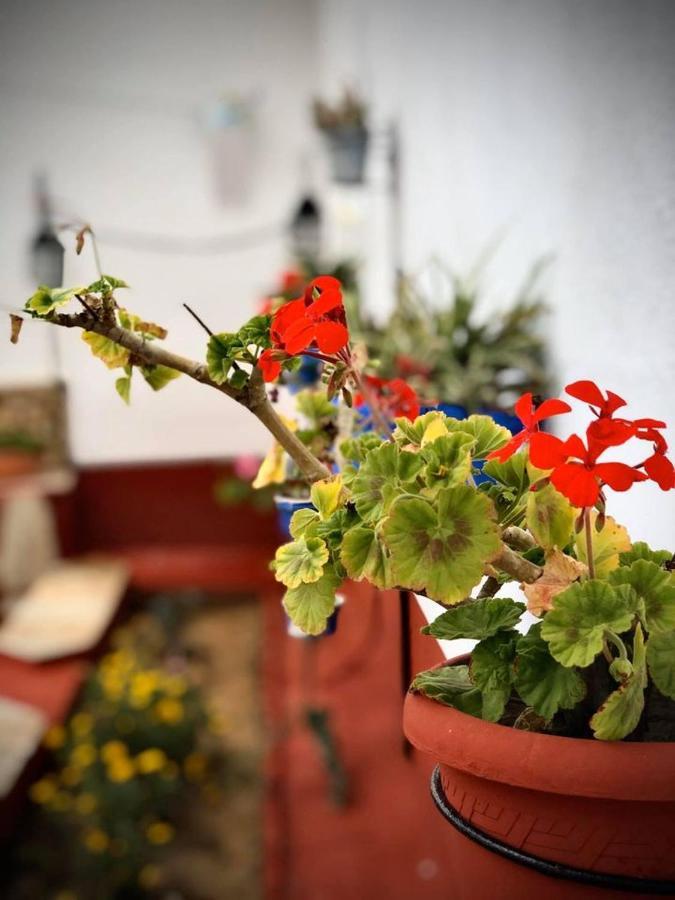 La Jara Casa Rural Vendégház Hinojosa del Duque Kültér fotó